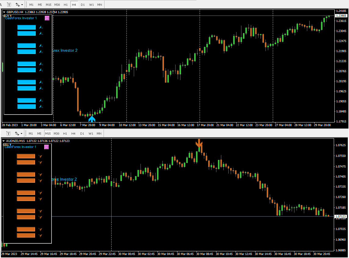 INVESTORBUYSELL1 INVESTORBUYSELL1